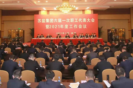 蘇鹽集團(tuán)隆重召開六屆一次職工代表大會(huì) 蘇鹽集團(tuán)隆重召開六屆一次職工代表大會(huì)