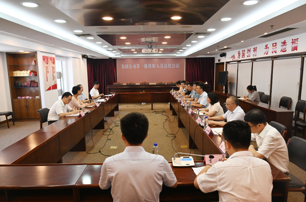 蘇鹽集團(tuán)黨委召開第一批掛職人員總結(jié)會(huì)議 蘇鹽集團(tuán)黨委召開第一批掛職人員總結(jié)會(huì)議
